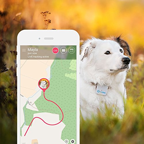 Localizzatore GPS per animali domestici