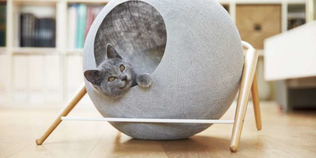 Regali per Cani, Gatti e Padroni