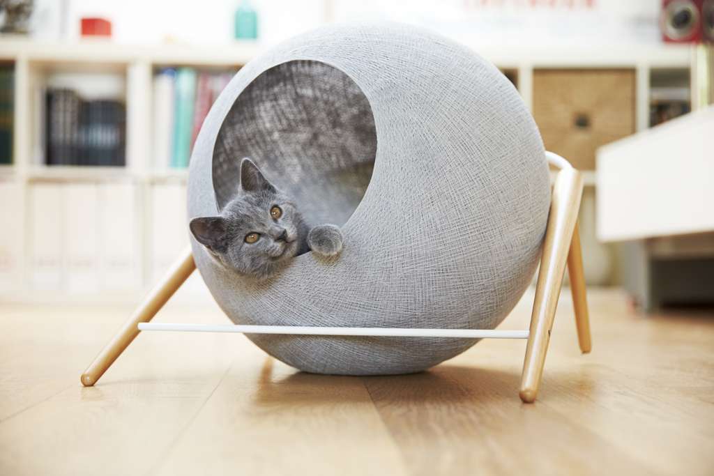 Oggetti di Design per Cani, Gatti e Padroni: 10 Spettacolari Idee Regalo